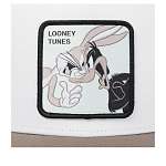 Бейсболка CAPSLAB арт. CL/LOO11/1/CT/BD Looney Tunes Bugs Bunny and Daffy Duck (серый / белый)