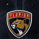 Бейсболка AMERICAN NEEDLE арт. 41152A-FLP Florida Panthers Raglan Bones NHL (темно-синий)