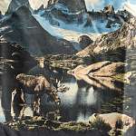 Футболка UA M MOUNTAIN PHOTOREAL SS