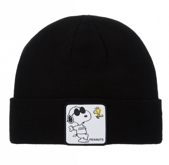 Шапка CAPSLAB Peanuts Snoopy And Woodstock