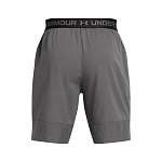 Шорты UA Vanish Woven 8in Shorts
