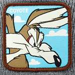 Шапка CAPSLAB арт. CL/LOO5/1/BON/CO Y2 Looney Tunes Wile E. Coyote (серый)