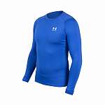 Компрессионное белье Under Armour HeatGear Long Sleeve
