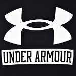 Худи мужская Under Armour Rival Terry Logo Hoodie