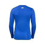Компрессионное белье Under Armour HeatGear Long Sleeve