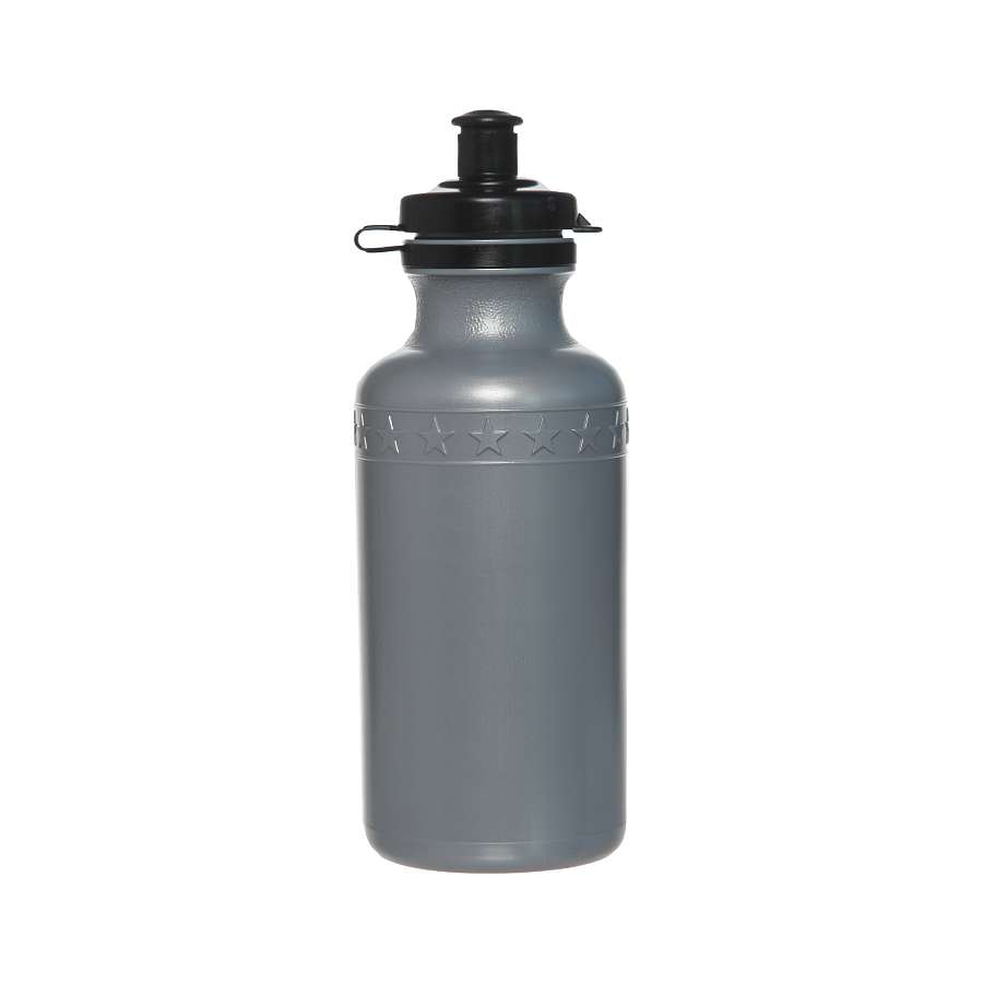 Бутылочка для воды BIG BOY (серебро, 500 мл, без носика)