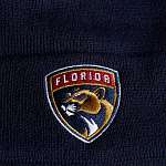 Шапка Florida Panthers, син.