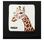 Бейсболка GOORIN BROTHERS арт. 101-1434 (черный)