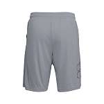Шорты UA TECH GRAPHIC SHORT Steel /Black