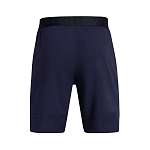 Шорты UA Vanish Woven 8in Shorts