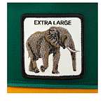 Бейсболка GOORIN BROTHERS арт. 101-1328 (зеленый / желтый)