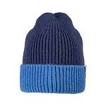Шапка VINTAGE HIGH CUFFED BEANIE AD IRON
